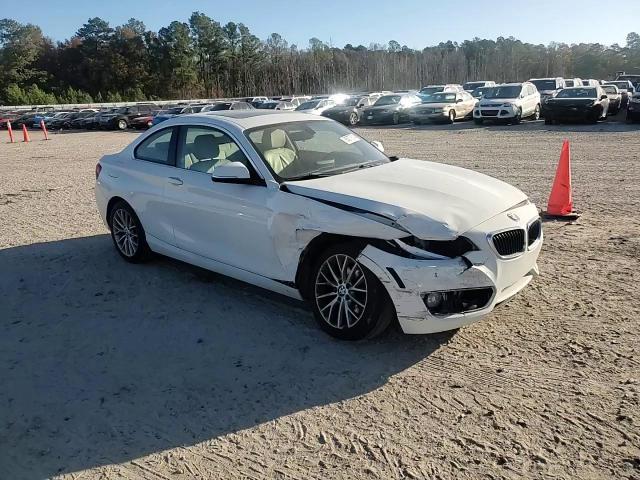 2014 BMW 228 I VIN: WBA1F5C58EVV99129 Lot: 85077514