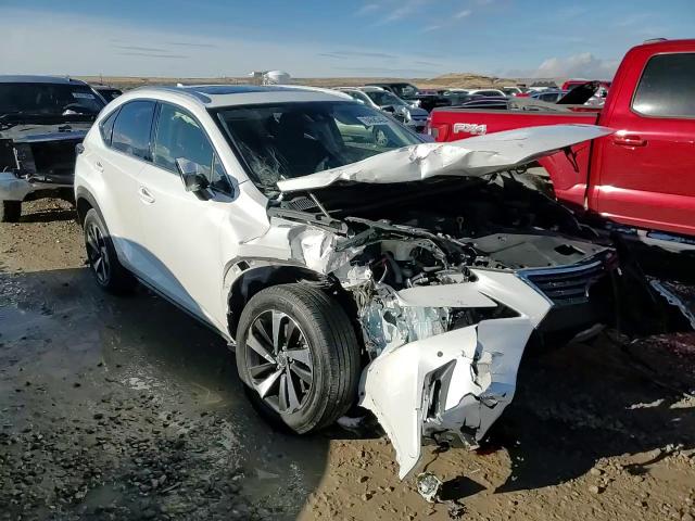 2020 Lexus Nx 300 VIN: JTJGARDZ1L2234498 Lot: 84685424