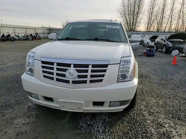 2010 Cadillac Escalade Premium VIN: 1GYUKCEF0AR265941 Lot: 84599724