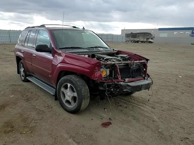 2009 Chevrolet Trailblazer Lt VIN: 1GNDT33S392128247 Lot: 84531954