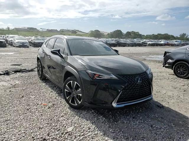 2019 Lexus Ux 200 VIN: JTHY3JBH6K2005597 Lot: 86172774