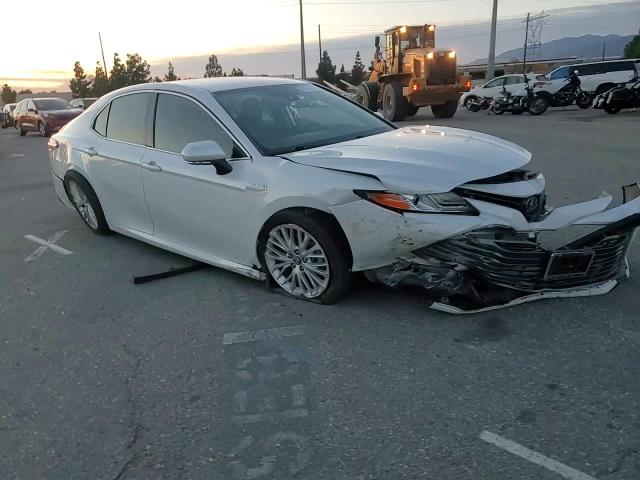 2020 Toyota Camry Xle VIN: 4T1F31AK6LU531459 Lot: 95343505