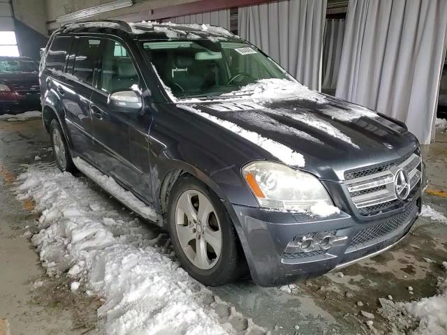 2010 Mercedes-Benz Gl 450 4Matic VIN: 4JGBF7BE9AA581269 Lot: 96046895