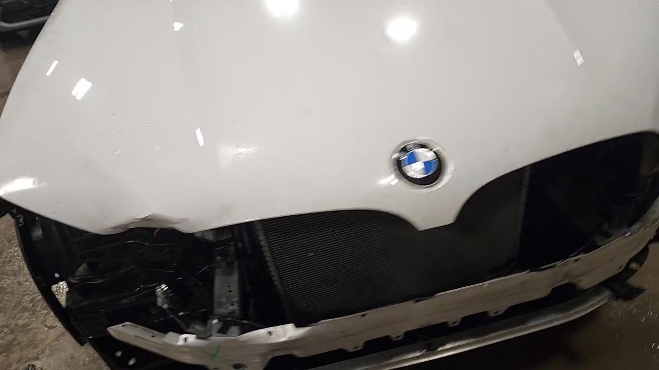 Фото: 5UXTR9C56KLE13591