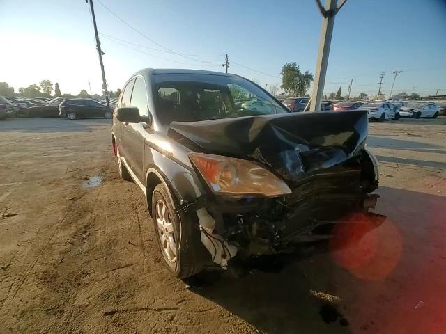 2007 Honda Cr-V Exl VIN: JHLRE38717C030454 Lot: 95466305