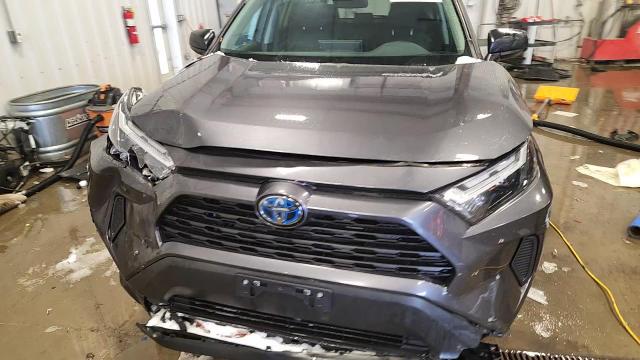 2024 Toyota Rav4 Le VIN: 4T3LWRFV5RU132070 Lot: 94760485