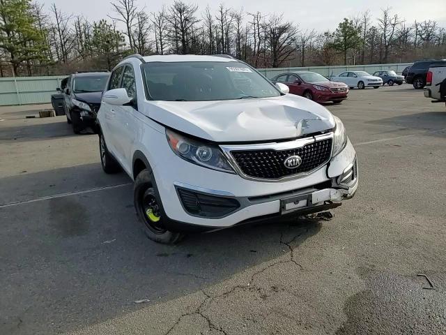 2015 Kia Sportage Lx VIN: KNDPB3ACXF7772895 Lot: 95391845
