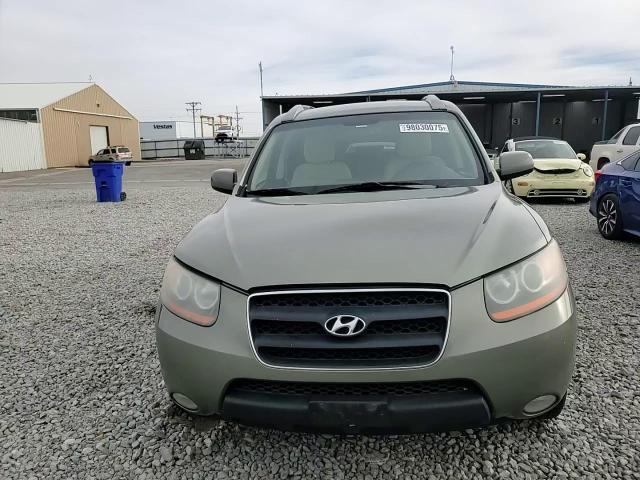 2008 Hyundai Santa Fe Se VIN: 5NMSH73E58H166964 Lot: 98030075