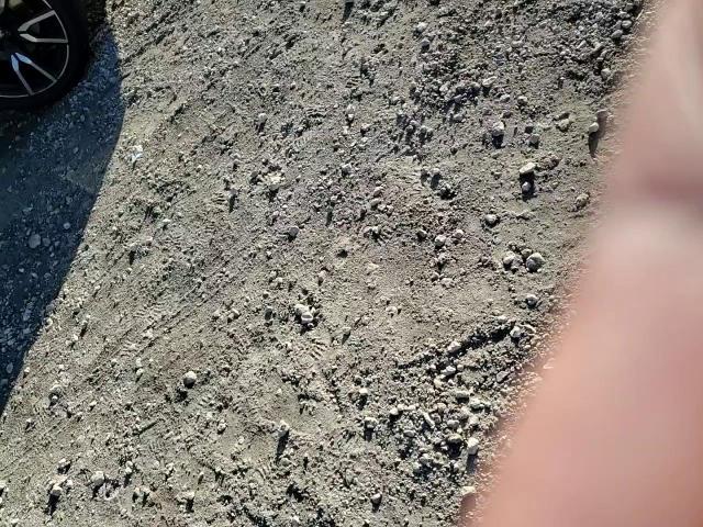 2019 Hyundai Tucson Se VIN: KM8J23A46KU901916 Lot: 97247375