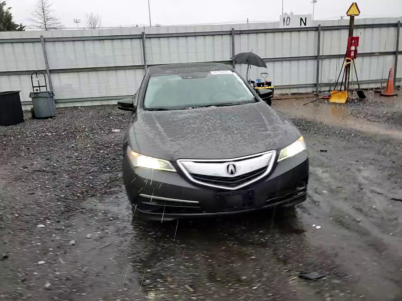 Фото: 19UUB2F56FA007453