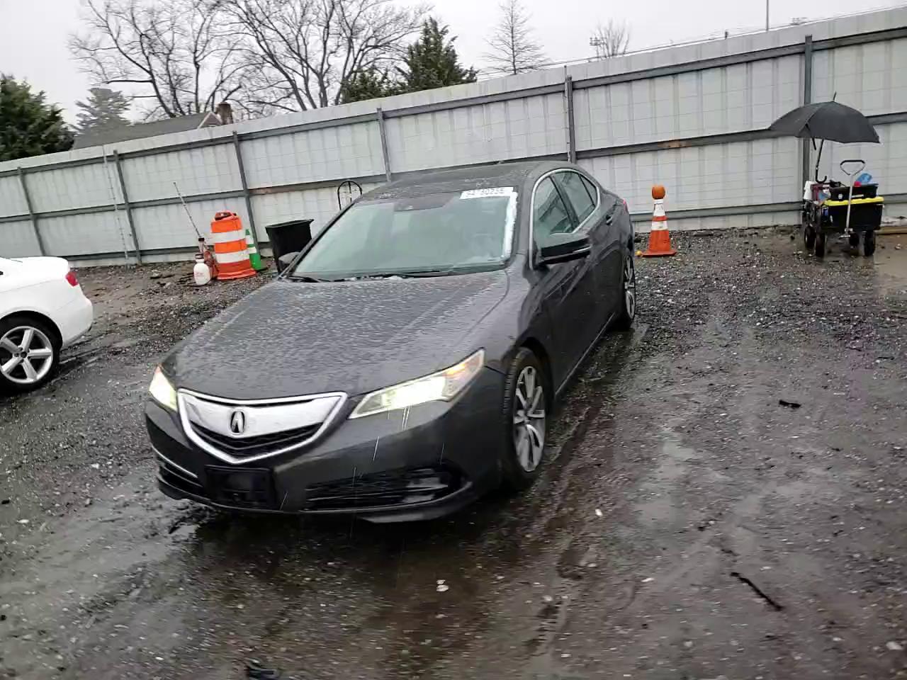 Фото: 19UUB2F56FA007453