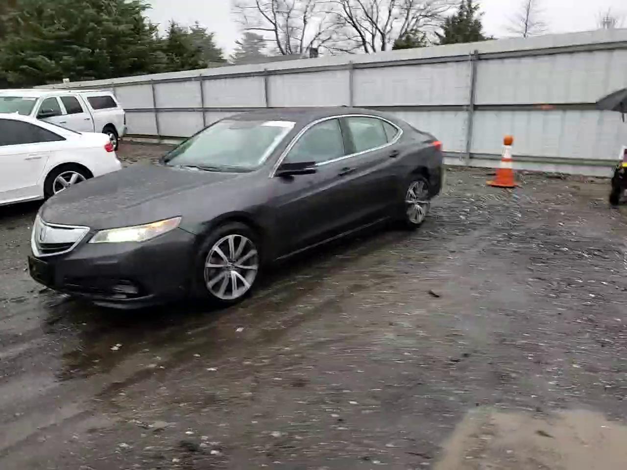 Фото: 19UUB2F56FA007453