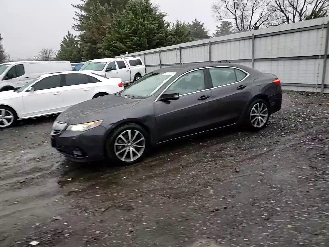 Фото: 19UUB2F56FA007453