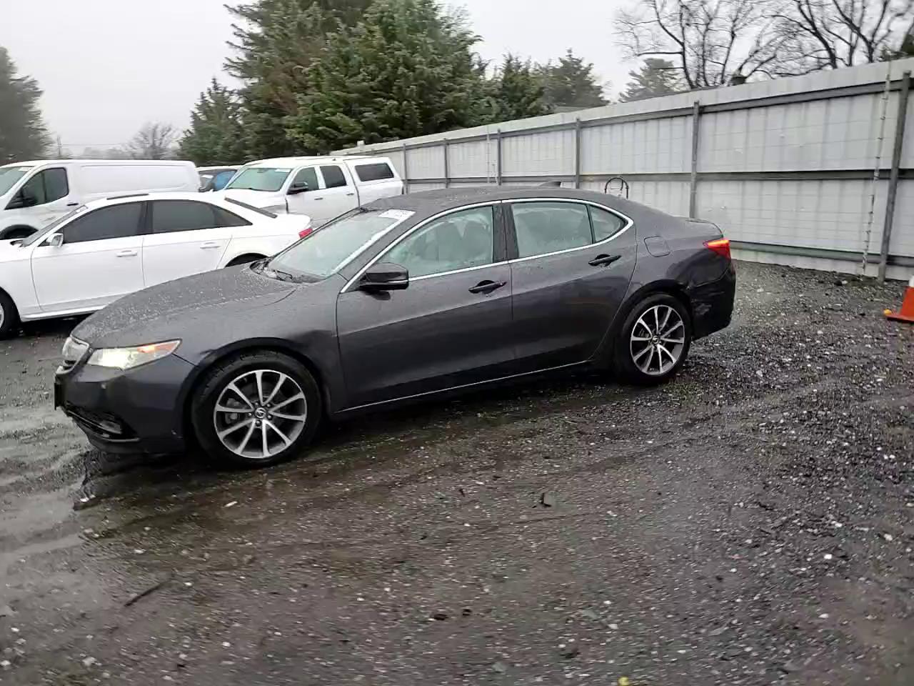 Фото: 19UUB2F56FA007453