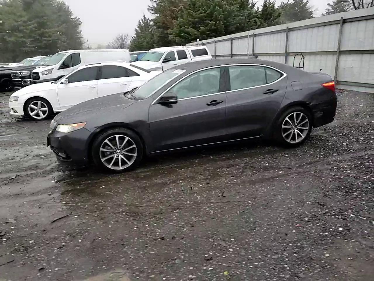 Фото: 19UUB2F56FA007453