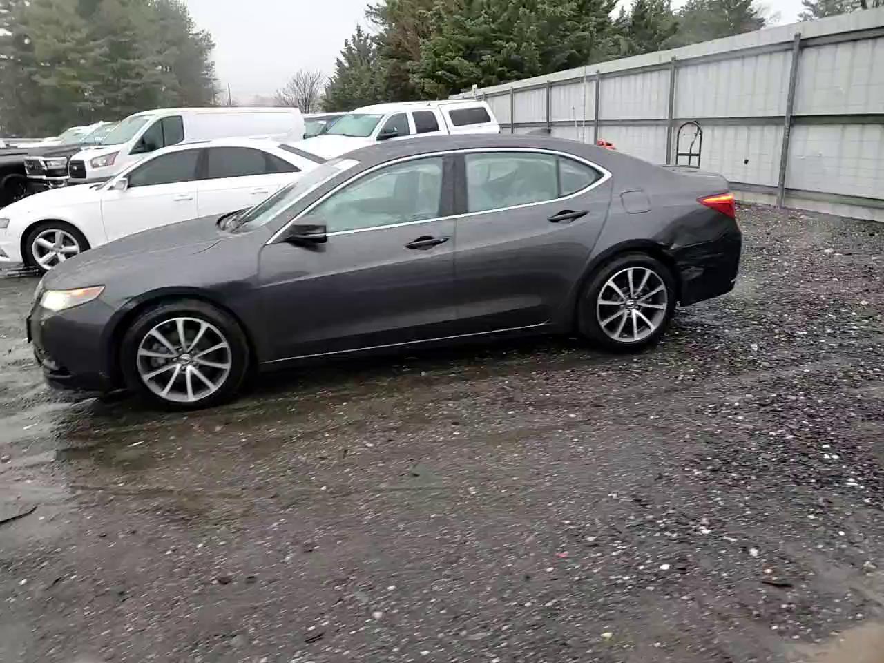 Фото: 19UUB2F56FA007453