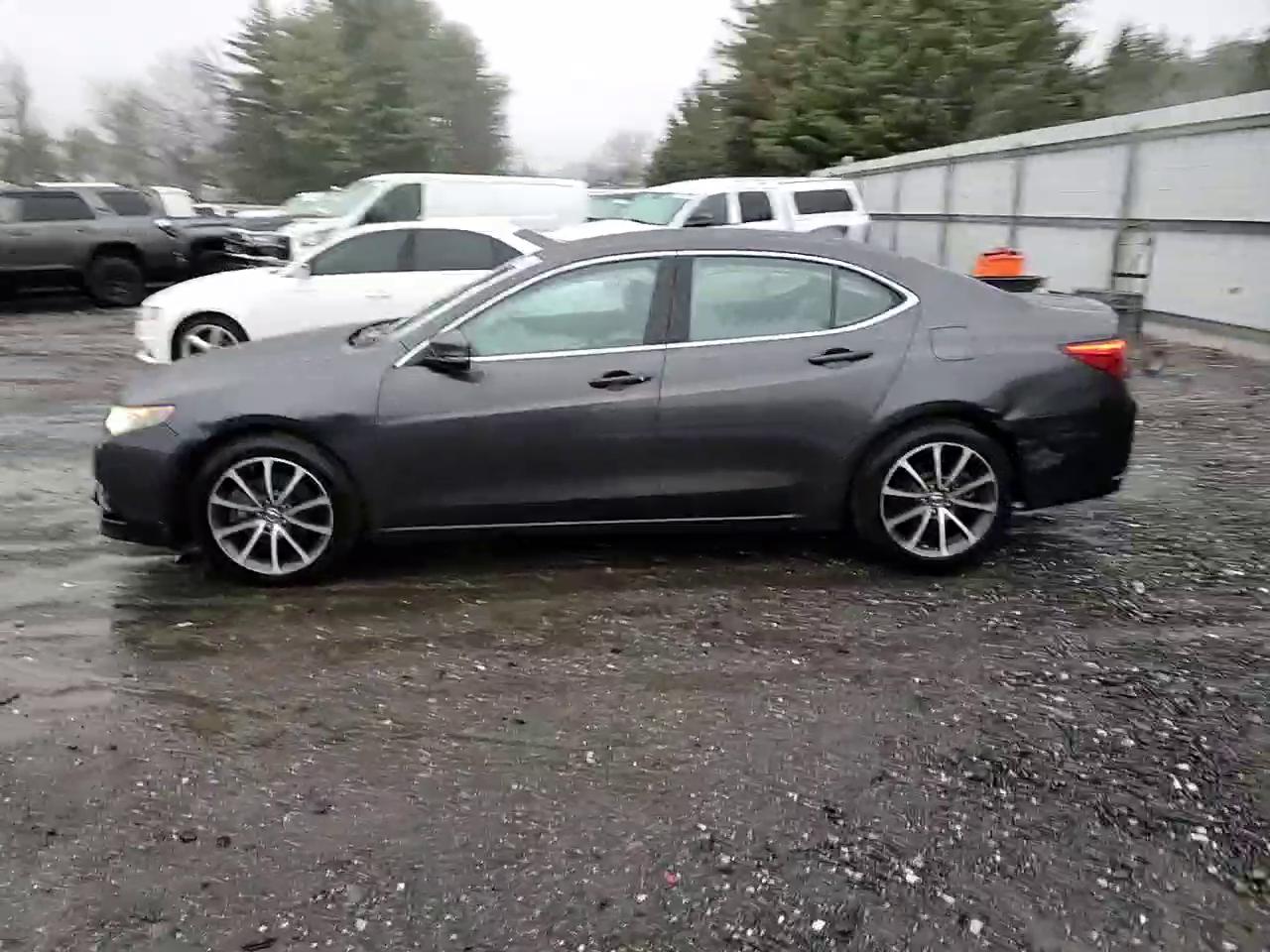 Фото: 19UUB2F56FA007453