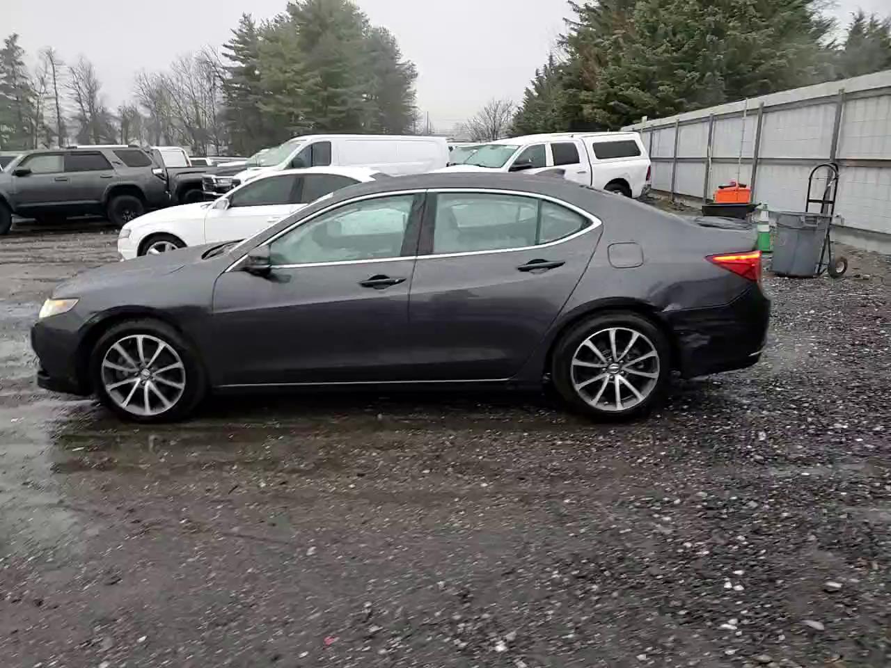 Фото: 19UUB2F56FA007453