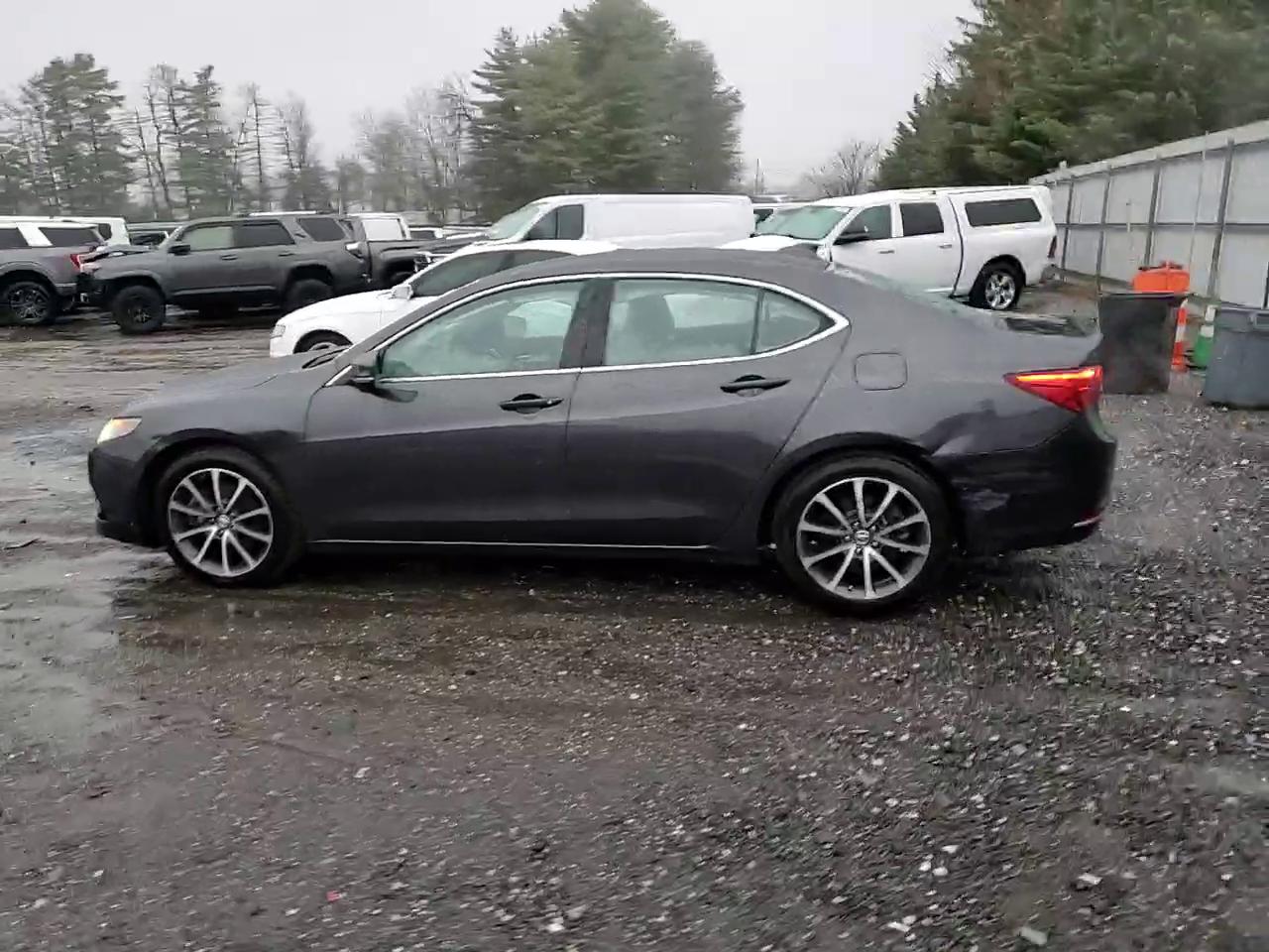 Фото: 19UUB2F56FA007453