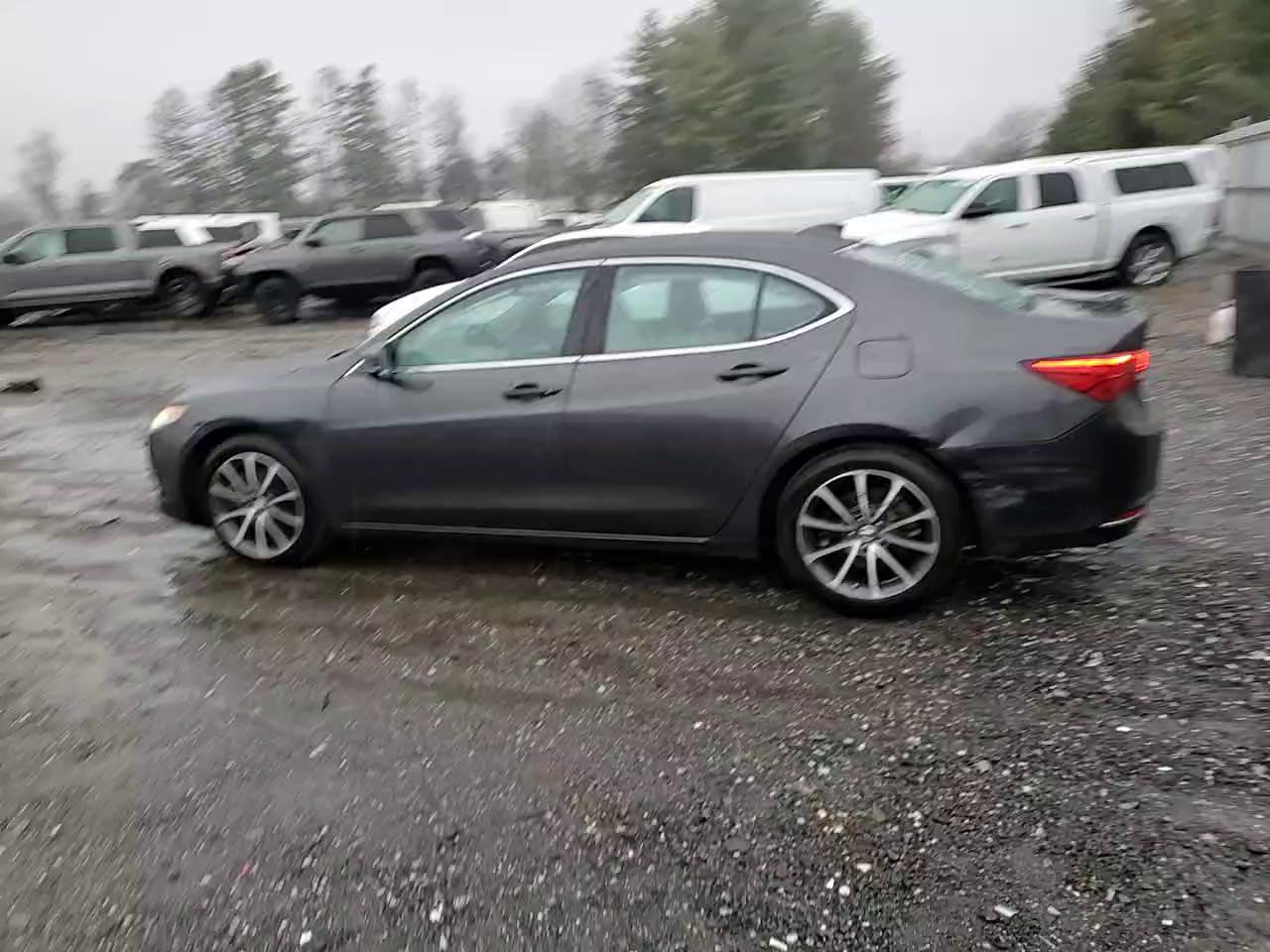 Фото: 19UUB2F56FA007453