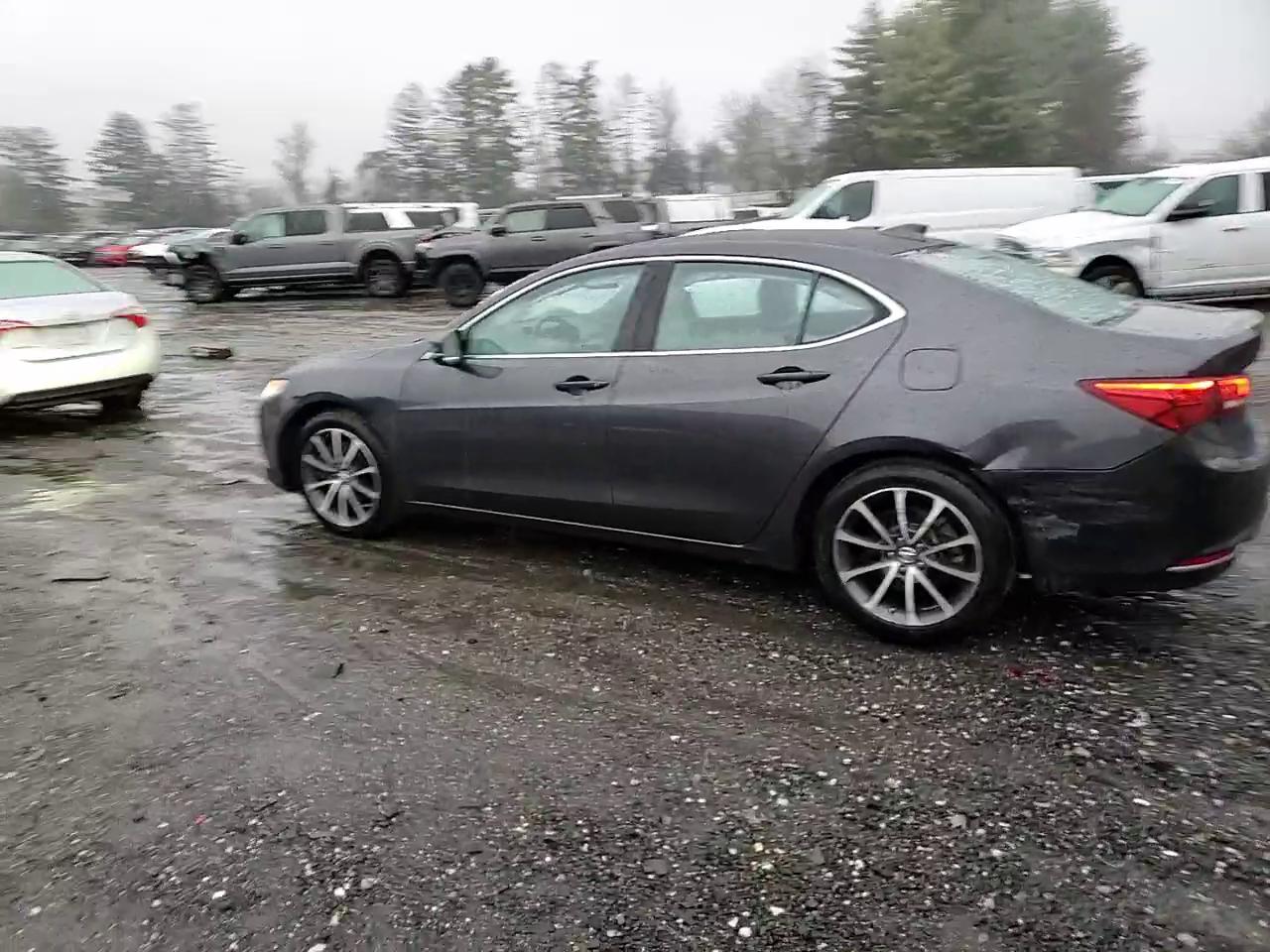 Фото: 19UUB2F56FA007453