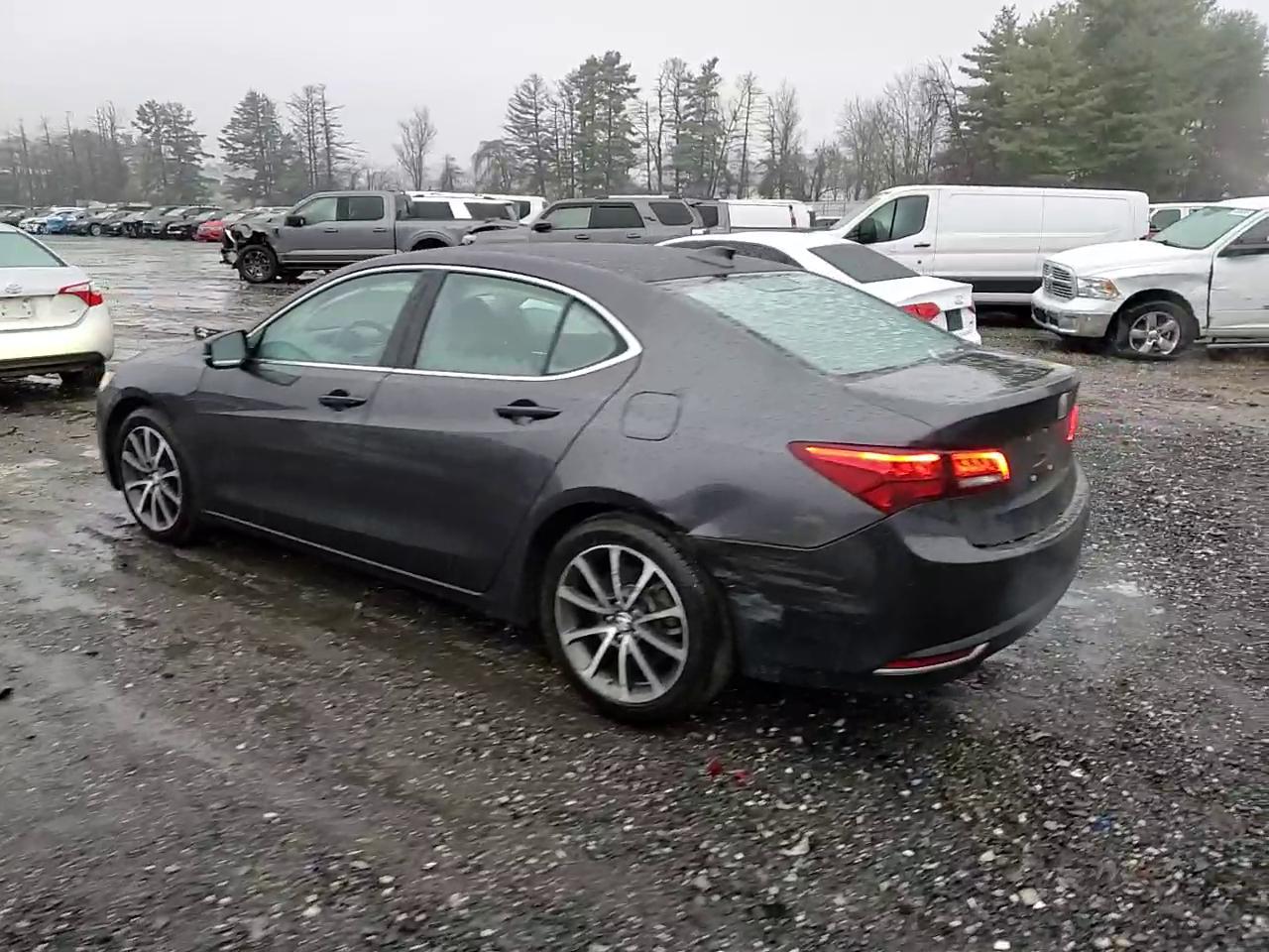 Фото: 19UUB2F56FA007453