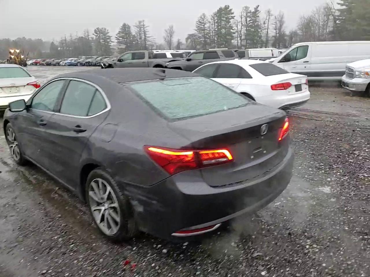 Фото: 19UUB2F56FA007453