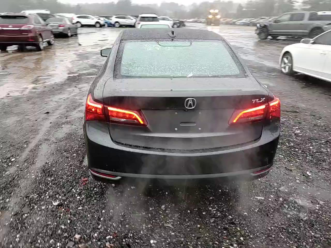 Фото: 19UUB2F56FA007453