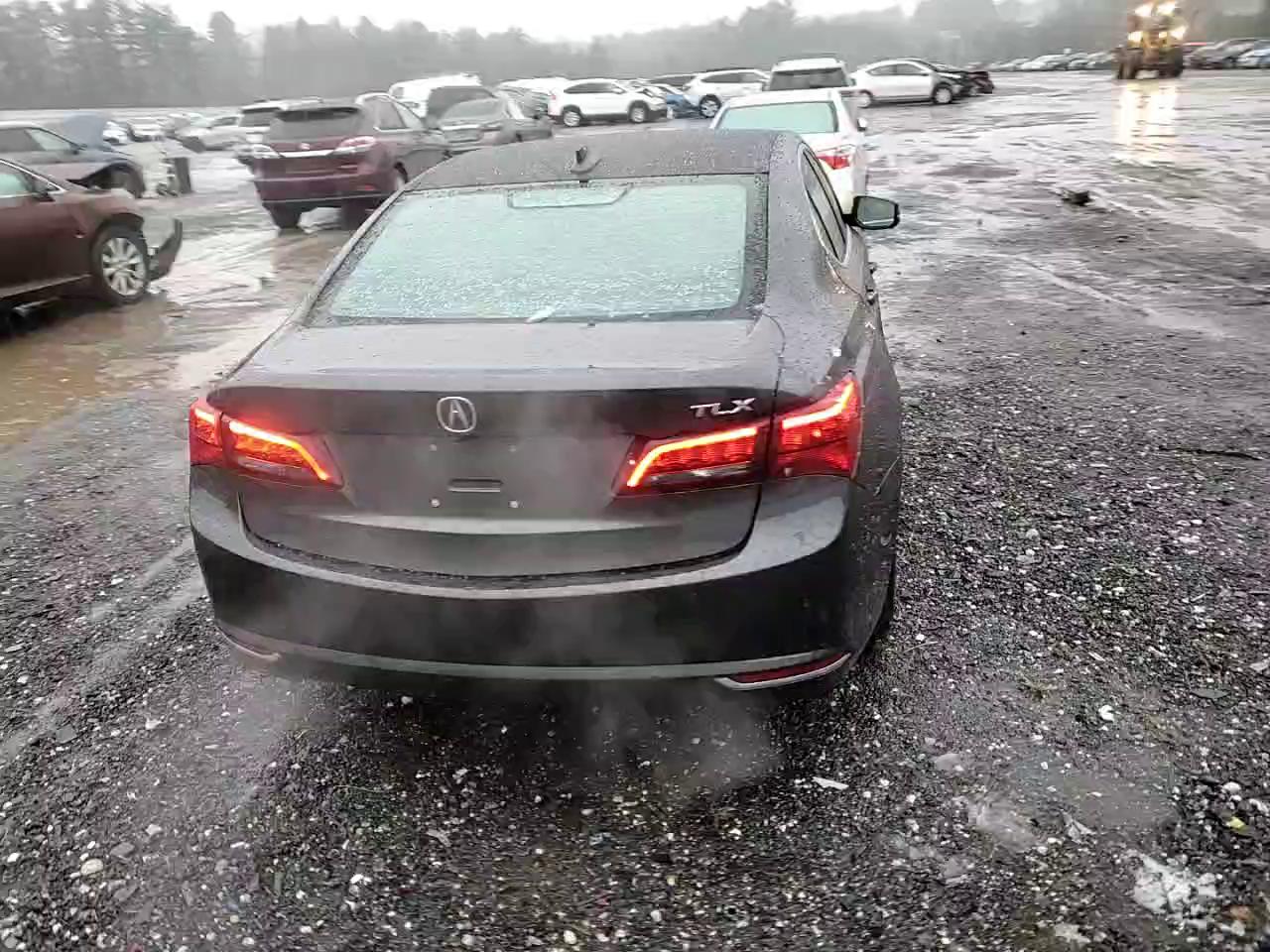 Фото: 19UUB2F56FA007453