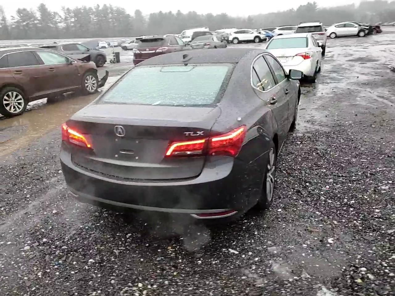 Фото: 19UUB2F56FA007453