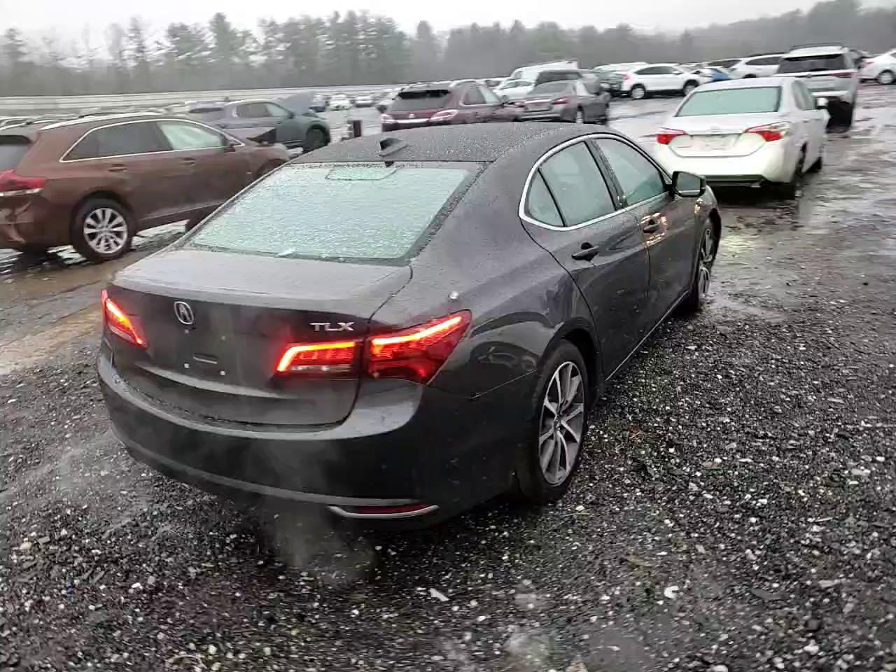 Фото: 19UUB2F56FA007453