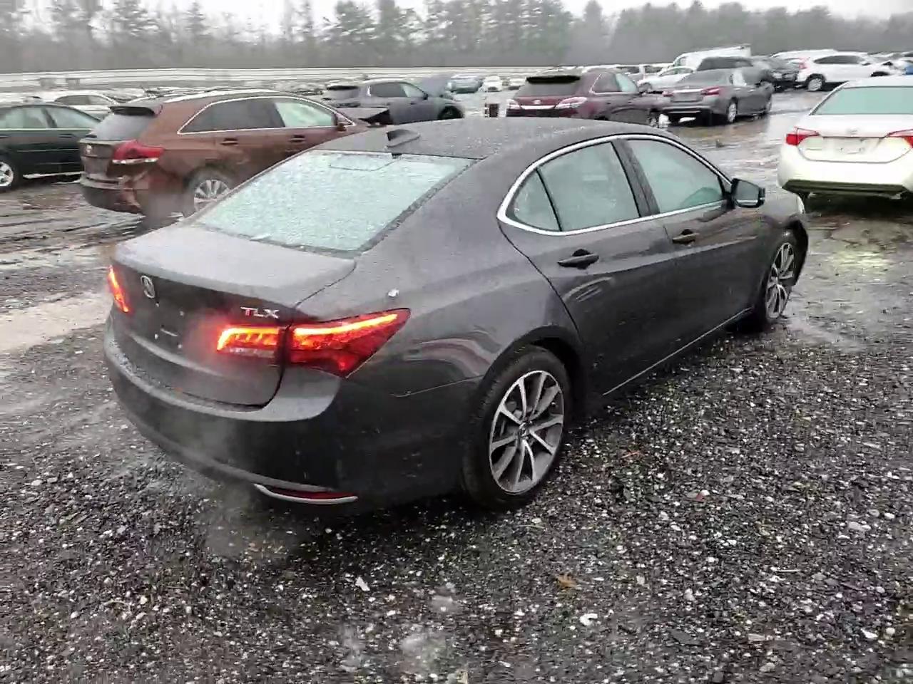 Фото: 19UUB2F56FA007453