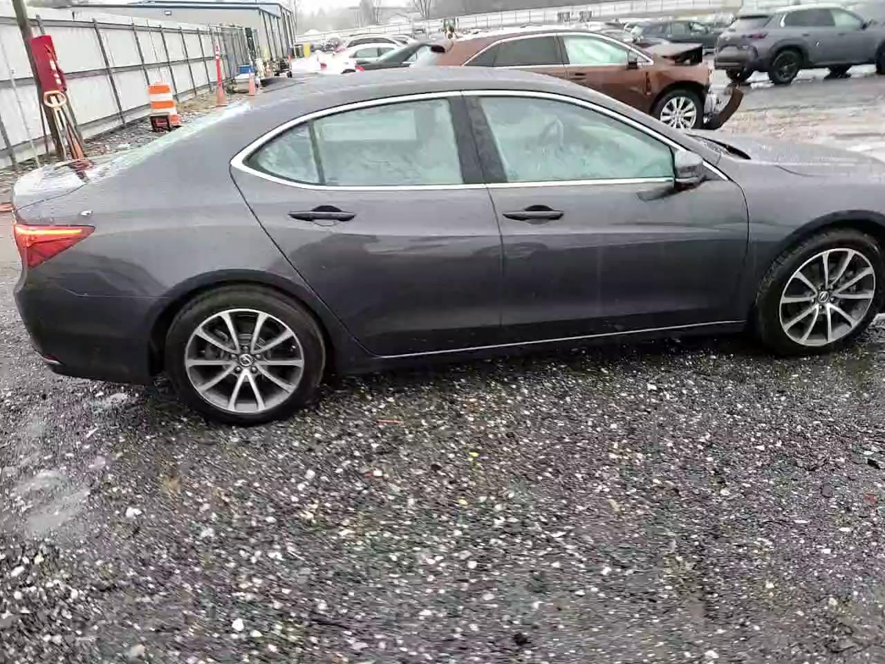 Фото: 19UUB2F56FA007453