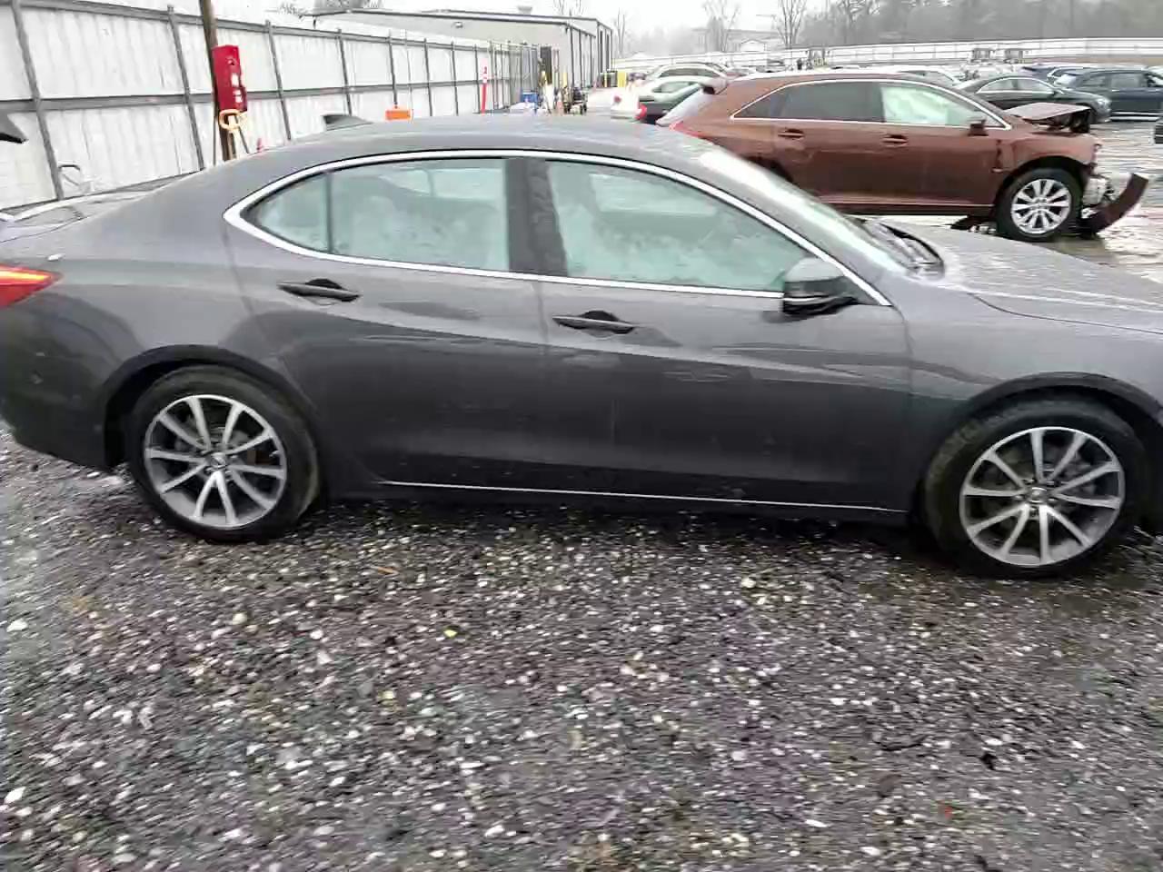 Фото: 19UUB2F56FA007453