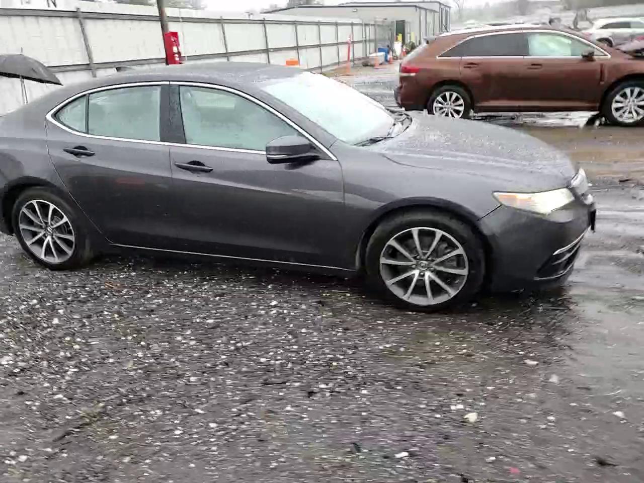 Фото: 19UUB2F56FA007453