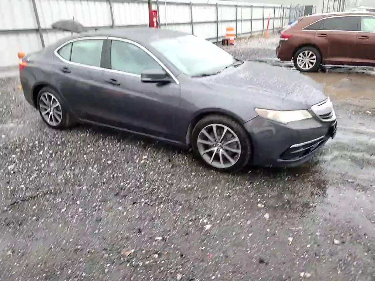 Фото: 19UUB2F56FA007453