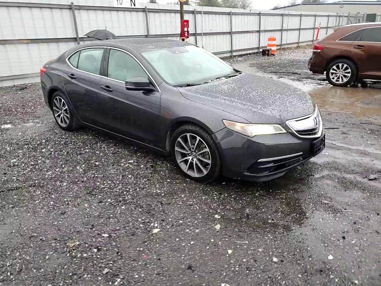 Фото: 19UUB2F56FA007453