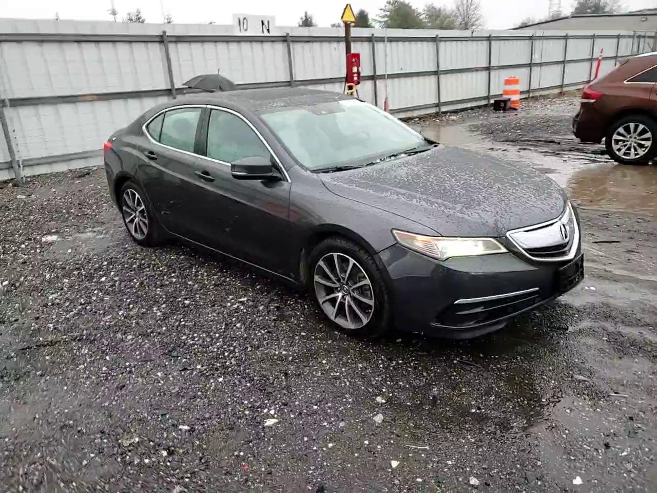 Фото: 19UUB2F56FA007453