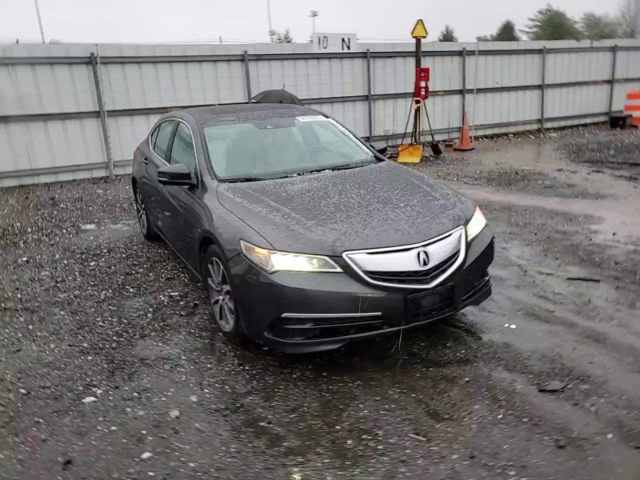 Фото: 19UUB2F56FA007453