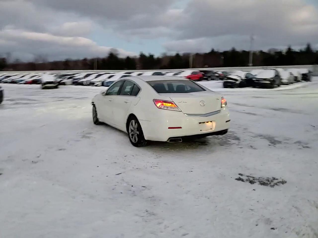 Фото: 19UUA8F24CA009838