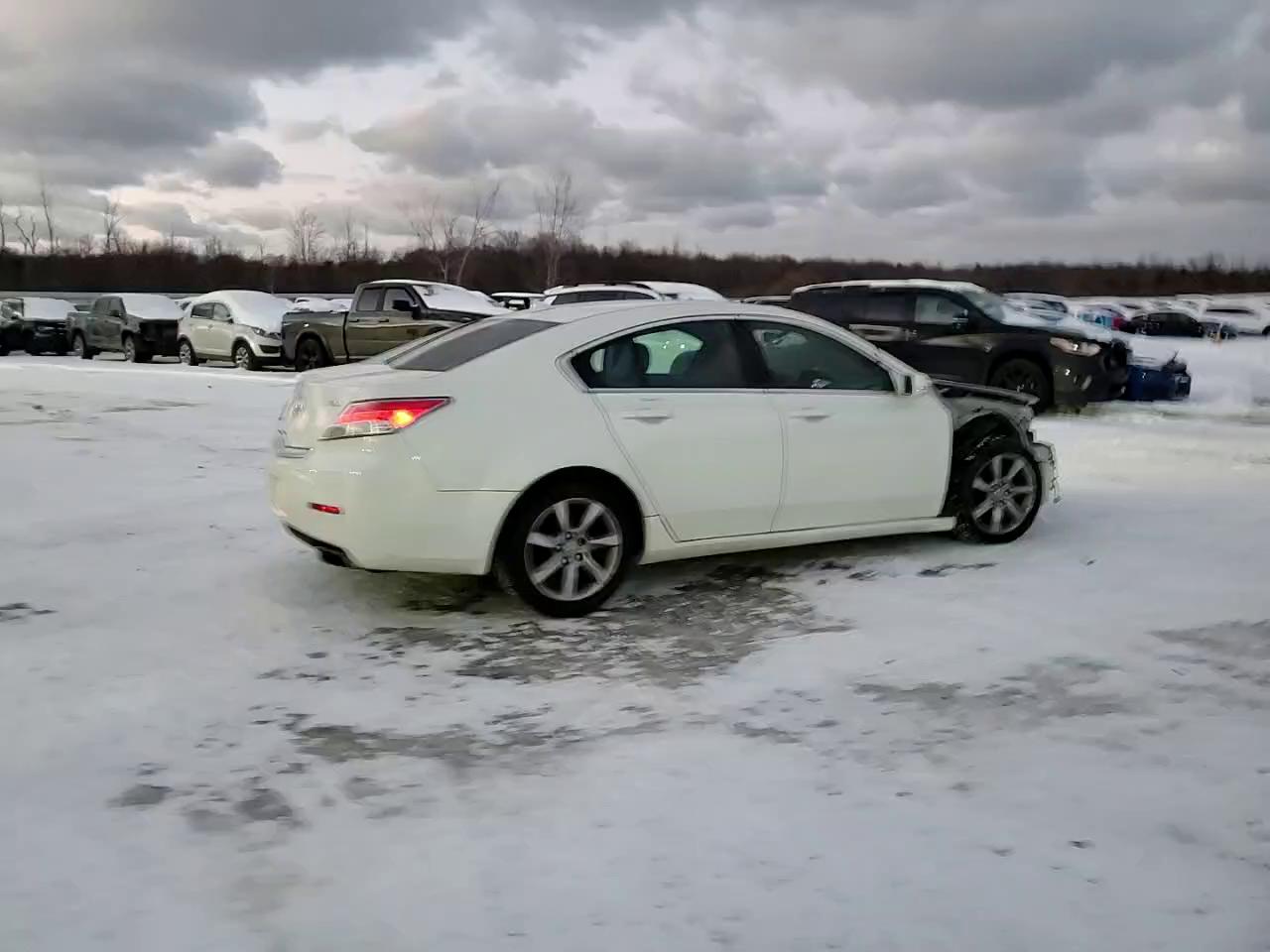 Фото: 19UUA8F24CA009838