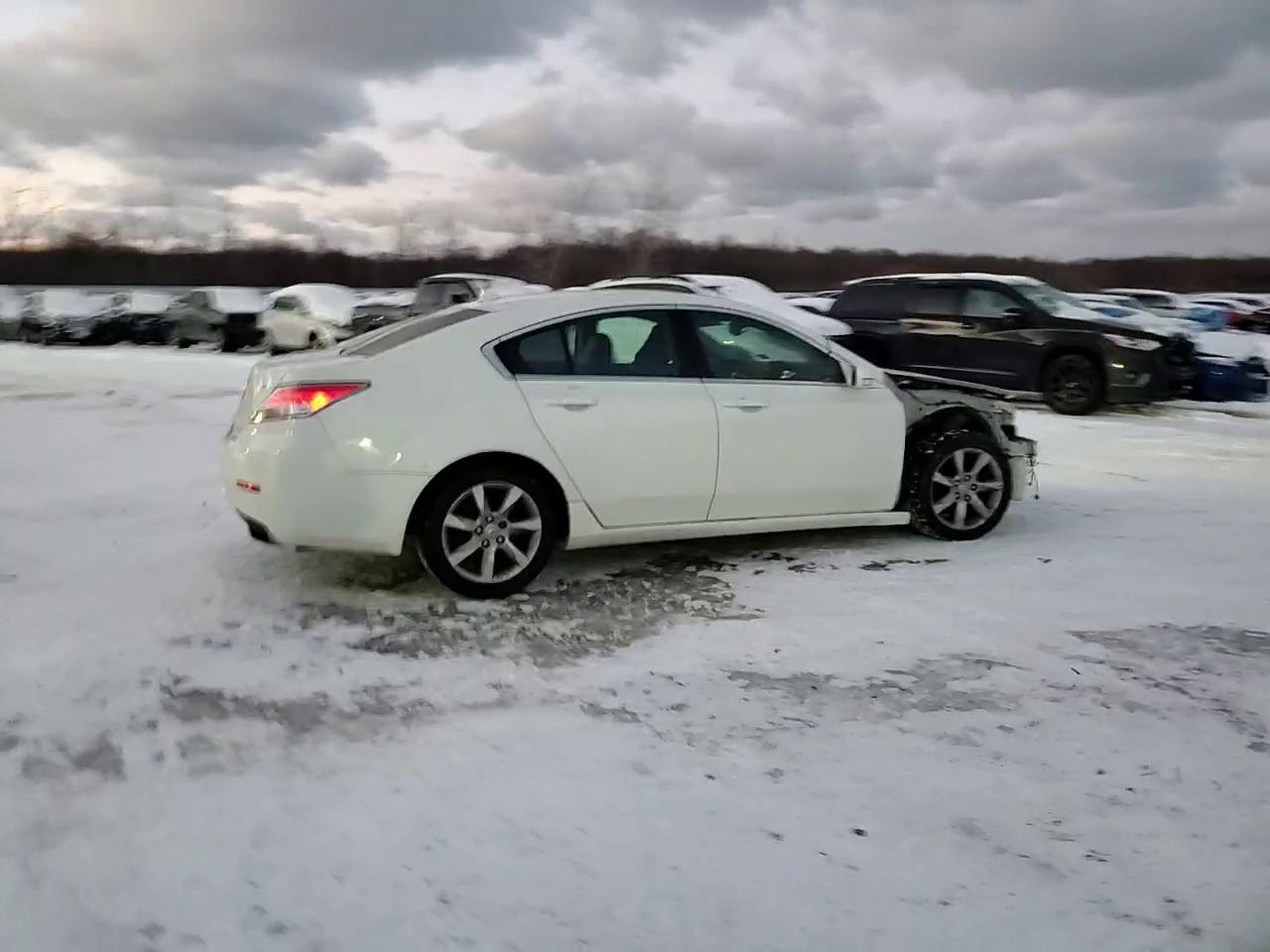 Фото: 19UUA8F24CA009838