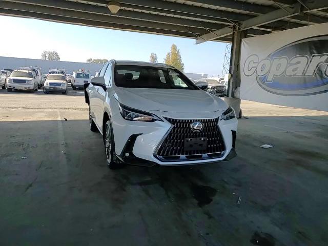 2025 Lexus Nx 350 Premium VIN: JTJGGCEZ8S5011513 Lot: 95001495