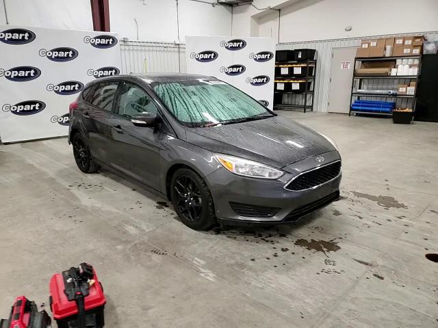 2016 Ford Focus Se VIN: 1FADP3K21GL312002 Lot: 95504375