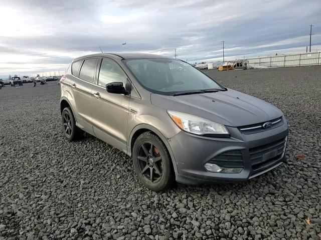 2014 Ford Escape Se VIN: 1FMCU0GX1EUB64597 Lot: 96720965