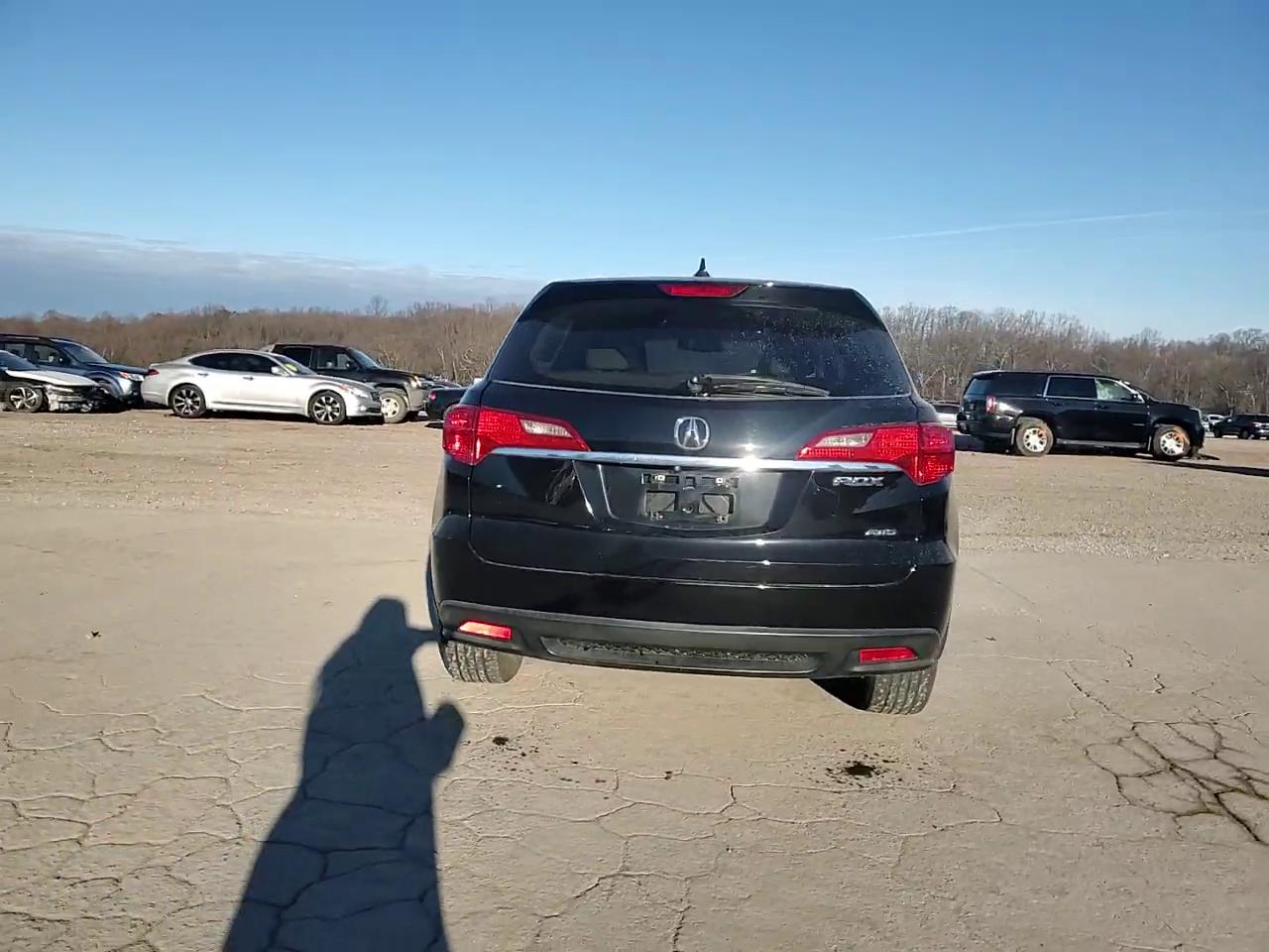 Фото: 5J8TB4H51FL028770