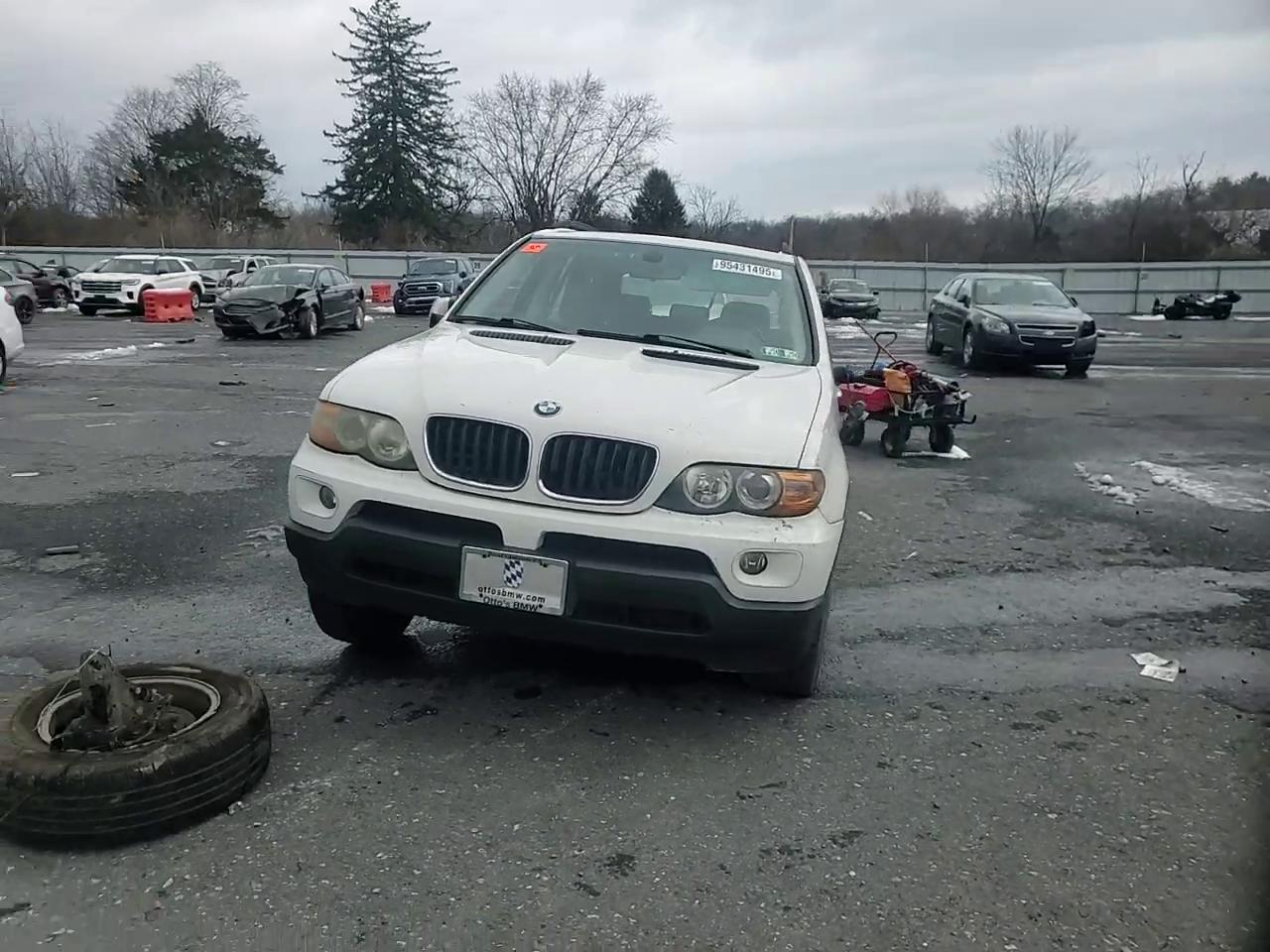 Фото: 5UXFA13515LY10150