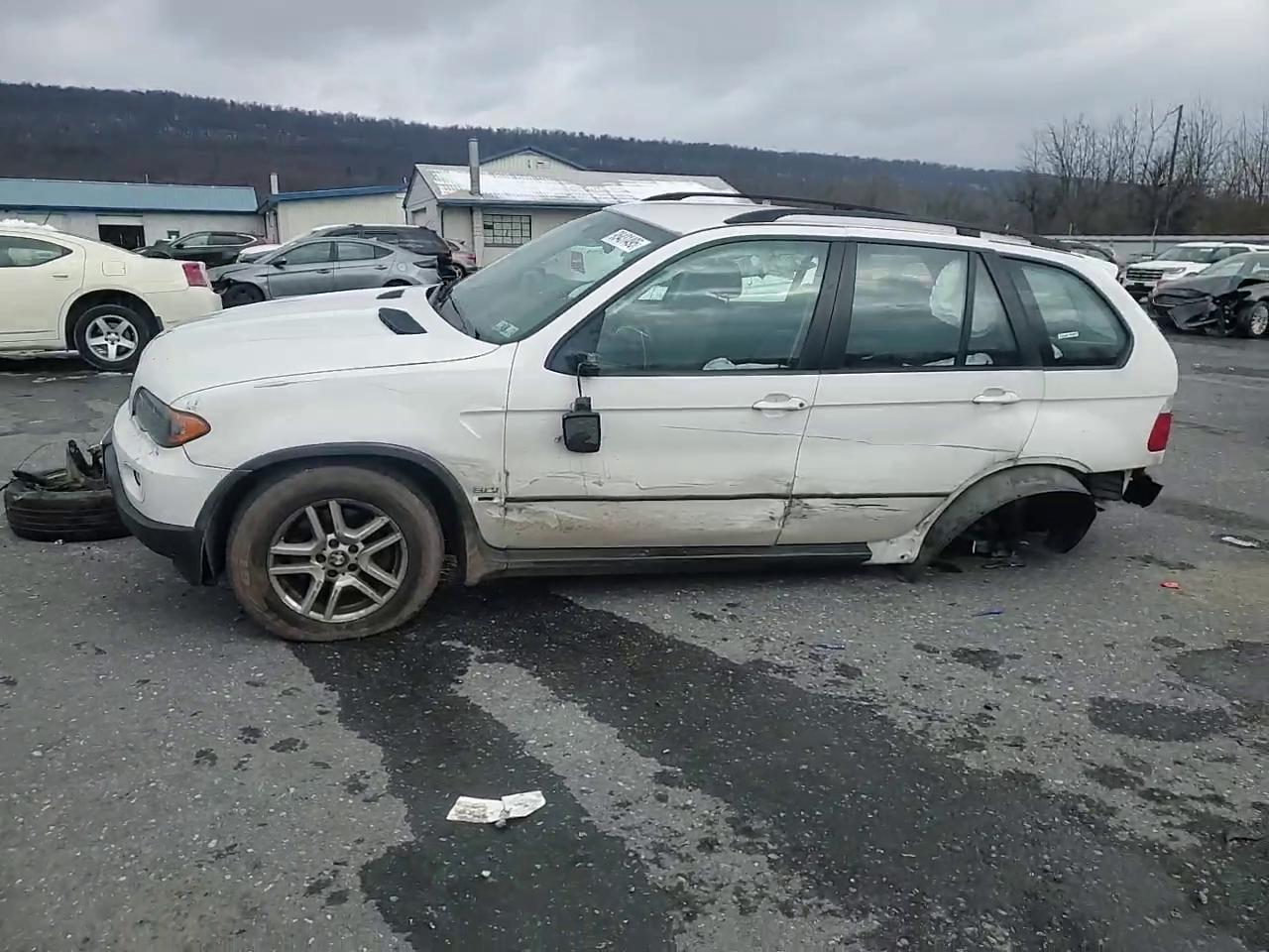 Фото: 5UXFA13515LY10150