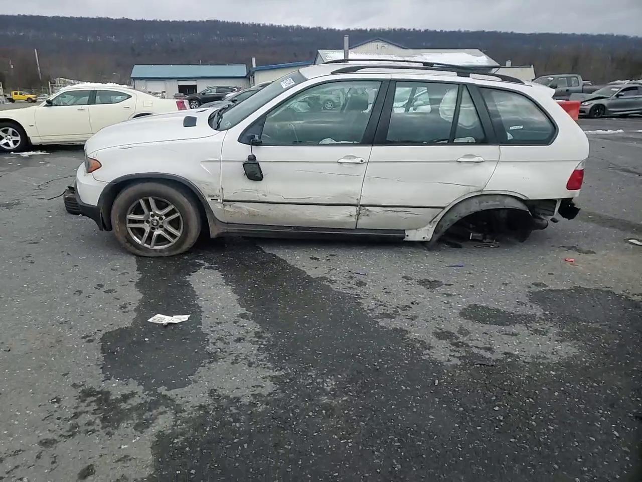 Фото: 5UXFA13515LY10150