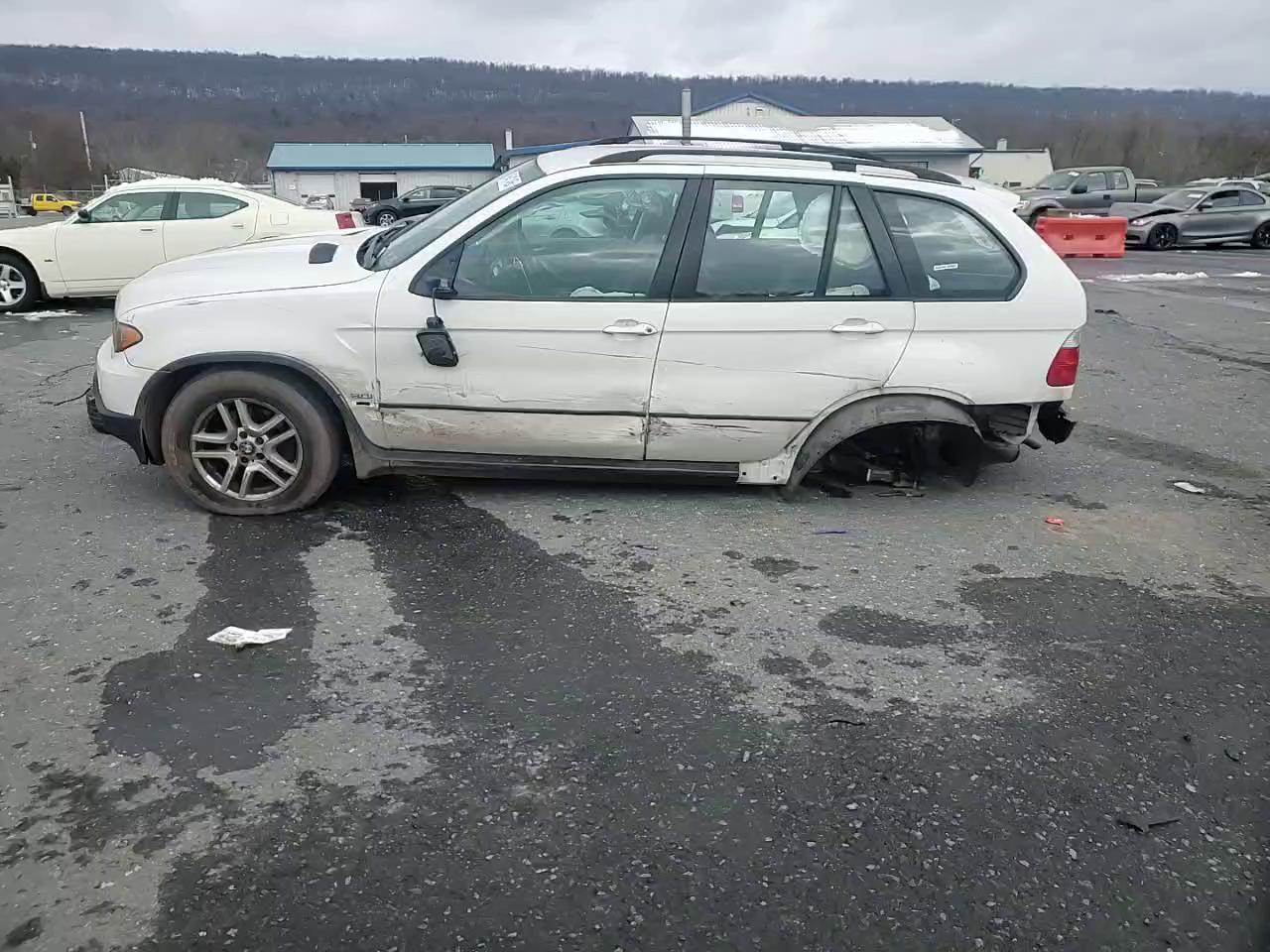 Фото: 5UXFA13515LY10150